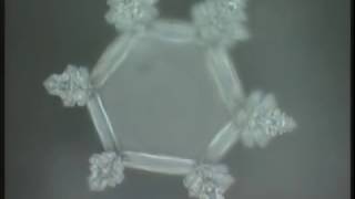 Masaru Emoto  Messages de lEau Documentaire [upl. by Saibot]