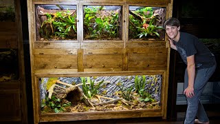 Easy DIY Plywood Reptile Enclosures [upl. by Thea]