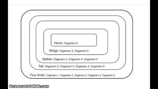 Build your own cladogram  BetterLesson [upl. by Esmond724]