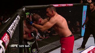 Fabricio Werdum Highlight [upl. by Siroved99]