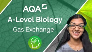 AQA A Level Biology Gas Exchange [upl. by Gnim]