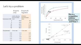 Michaelis Menten and Lineweaver Burk plots [upl. by Savill]