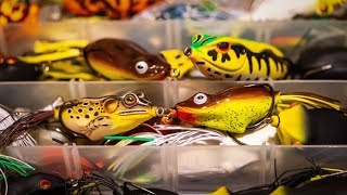 Frog Fishing For Bass  Everything You Need To Know [upl. by Einnol]