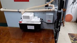 AC Condensate Pump amp Alarm [upl. by Akinas]