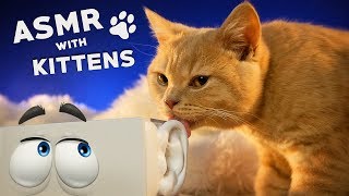 ASMR with KITTENS 🐱 Ear to Ear Purring Goodie Smacking Fur Grooming [upl. by Nappie]