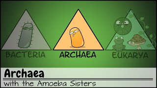 Archaea [upl. by Suoiluj]