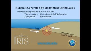 Tsunamis Generated by Megathrust Earthquakes [upl. by Walczak]