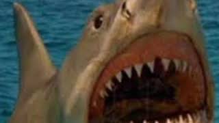 Jaws 4 The Revenge 1987 The Sharks Roar 🦈 🔊 [upl. by Ninahs]