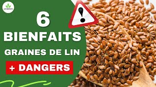 GRAINES DE LIN 6 BIENFAITS ET 4 DANGERS POUR LA SANTÉ [upl. by Alberik]