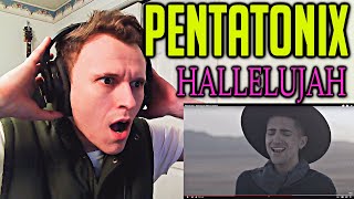 FIRST TIME REACTION PENTATONIX  HALLELUJAH REACTION [upl. by Aisel]