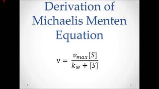 Michaelis Menten Explained and Derived [upl. by Einned545]