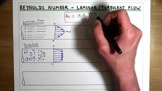 Laminar Flow Turbulent Flow and Reynolds Number [upl. by Kati843]