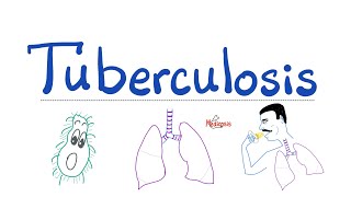 Tuberculosis TB  The Most Comprehensive Explanation  Respiratory Pathology  Pulmonology Series [upl. by Iahk898]