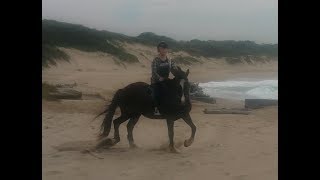 My Near Death Experience Horse Riding Galloping 1 [upl. by Payson]