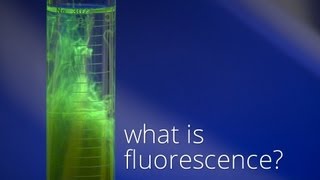 What is Fluorescence [upl. by Lepley]