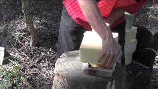 Part 4 Extracting Honey from an Australian Native Beehive [upl. by Annatnas]