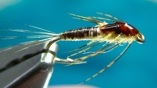 Tying a Small MayFly Nymph by Davie McPhail [upl. by Akira]