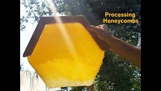 Processing Your Harvested Honey [upl. by Jenne626]