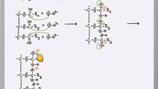 Verseifung Reaktionsmechanismus [upl. by Liauqram]