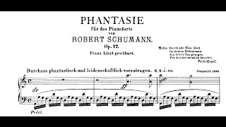 Schumann Fantasie in C Op17 Andsnes [upl. by Adiela]