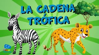 La Cadena Trófica  Videos Educativos para Niños [upl. by Laris]