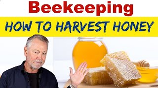 Beekeeping  How To Harvest Honey [upl. by Gnidleif5]