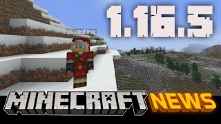 Whats New in Minecraft Java Edition 1165 [upl. by Hermann]