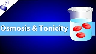 Osmosis and Tonicity [upl. by Eseekram278]