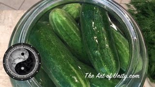 Best Fermented Dill Pickles  Easiest Recipe [upl. by Territus]