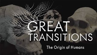 Great Transitions The Origin of Humans — HHMI BioInteractive Video [upl. by Ahsikar]