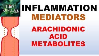 INFLAMMATION Part 5 Chemical Mediators ARACHIDONIC ACID METABOLITES [upl. by Lauryn]