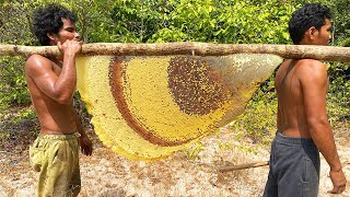 Primitive Technology Harvest Beehive and Honey by Brave Bushmen [upl. by Entsirhc]