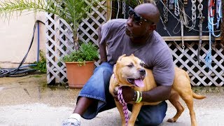 Melfis Return to Villalobos  Pit Bulls and Parolees [upl. by Lizabeth]