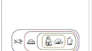 How to Build a Cladogram [upl. by Raimes]