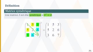 Matrices symétriques et antisymétriques [upl. by Eseerehs390]