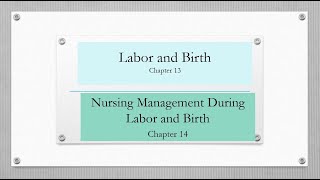 Maternal Newborn OBNurseRNStudentRicci 4th Ed Full lecture Ch 1314 LaborBirthNurse Role 21 [upl. by Dnalevelc]