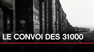 De Compiègne à Auschwitz  le convoi des 31 000  Toute lHistoire [upl. by Bunde]