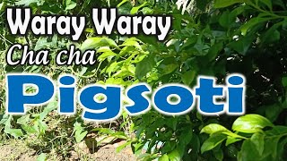 Pigsote Waray waray song with lyrics [upl. by Airyk]