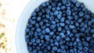 Natural ways to remove pesticides from berries [upl. by Nilo]