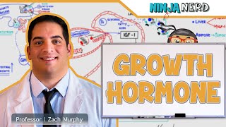 Endocrinology  Growth Hormone [upl. by Margarida886]