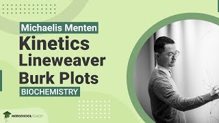 Lineweaver Burk Plots [upl. by Willey]