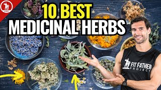 Top 10 Best Medicinal Herbs  For Health amp Vitality [upl. by Natanhoj]