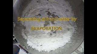 Science experiment Separating mixture by EVAPORATION  Homogeneous solution  SALT WATER [upl. by Novaj979]