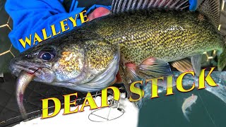 Dead Sticking Walleye Tricks [upl. by Sale]