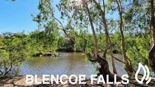 Blencoe Falls Camping Area  Girringun National Park Queensland [upl. by Johm]