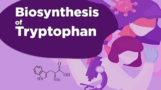 Pyrimidine Synthesis and Salvage Pathway [upl. by Amerigo779]