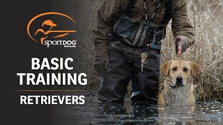 Basic Training  Retrievers [upl. by Dena]