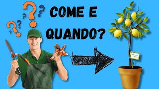 Come e quando potare il limone Video Tutorial [upl. by Rozelle188]