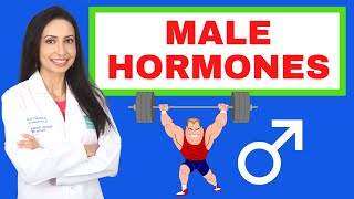 Male Hormones Hows your testosterone and estrogen [upl. by Ahsirtak]