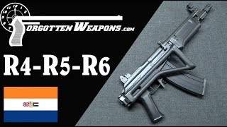 South African Galils The R4 R5 R6 and LM Series [upl. by Yatnahc844]